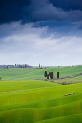 Fototapeta premium Tuscany