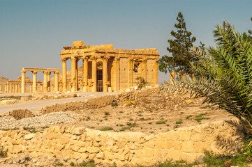 Fototapeta premium Palmyra Temple Ruins