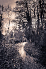 Fototapeta premium Gloomy torrent
