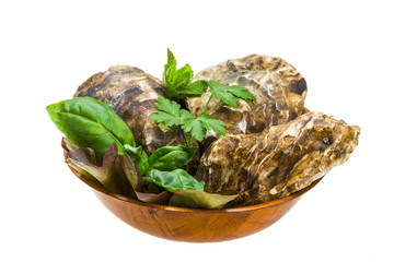 Fresh oyster