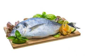 Fresh raw dorada