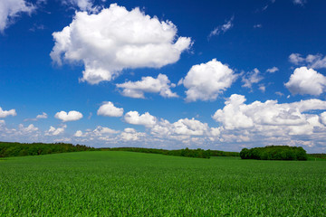 Fruehlingsandschaft mit Wolken