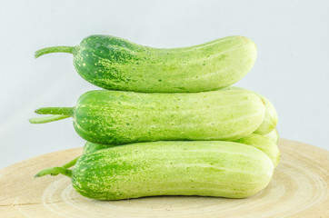 Cucumber