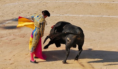 Fototapeta premium corrida