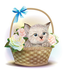 Illustration of  the fluffy kitten sitting in a basket with rose