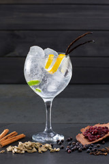 Gin tonic cocktail with ice vanilla lima and varied spices