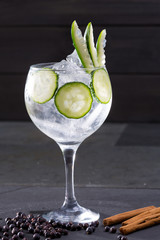 Gin tonic cocktail with cucumber and cinnamon and juniper