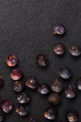  juniper berries macro detail closeup on black