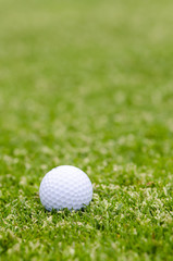 golfball auf dem rasen