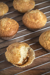 Muffins