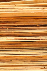 pile of cut wood stump .