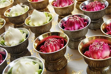 Crédence de cuisine en verre imprimé Bouddha Lotus flower Dedicated to the buddha