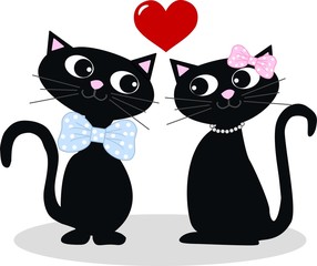 two cats in love