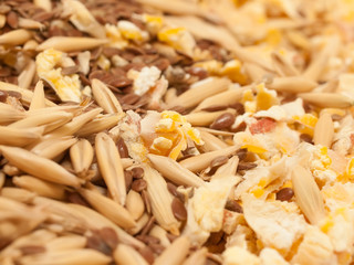 muesli for horse background. macro
