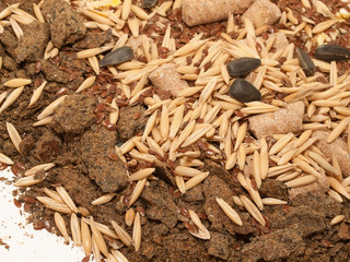muesli for horse background. close up