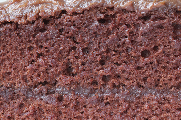 Chocolate cake texture