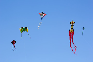 bunt fröhlicher Drachenhimmel