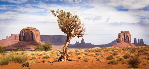 Classic View of American West in Monument Valley