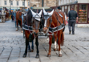 Naklejka na ściany i meble Traditional vienna fiaker (horse carriage)
