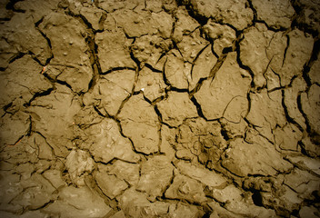 dry land