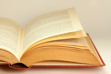 Close-up of open book