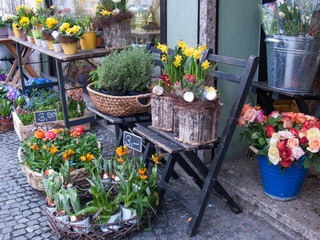 Flower Shop with Daffodils