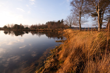 Fototapeta na wymiar calm little wild lake in Dwingelderveld