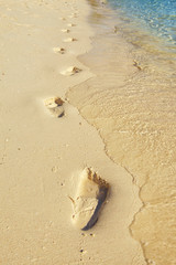 Trail on beach