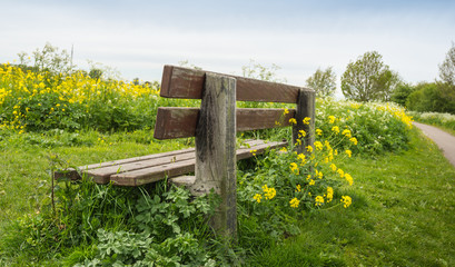 Weathered wooden bench seen from the backside