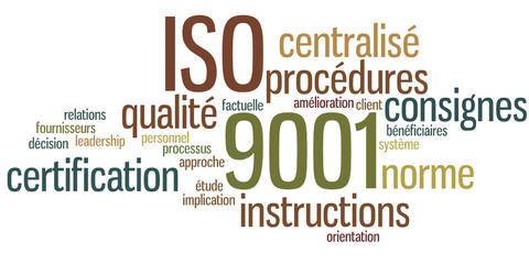 Nuage de Mots : ISO 9001