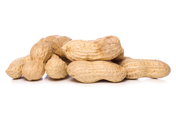 pile of monkey nuts