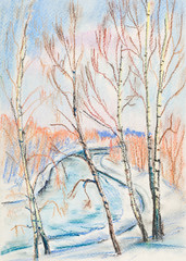 Birches over the channel