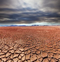 Fotobehang Drought land © Galyna Andrushko