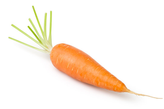 carrot one