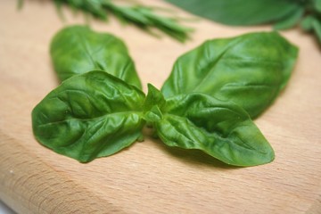 Erbe aromatiche : basilico su tagliere
