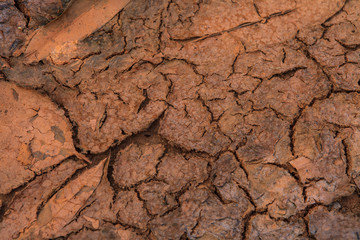 Global warming - parched earth