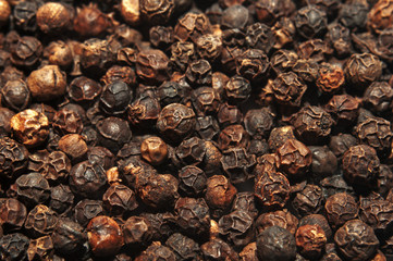 Pepper seeds