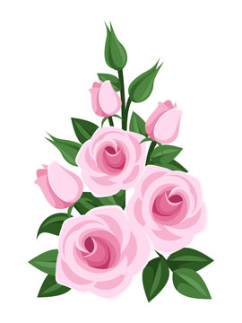 Branch of pink roses, buds and leaves. Vector illustration.