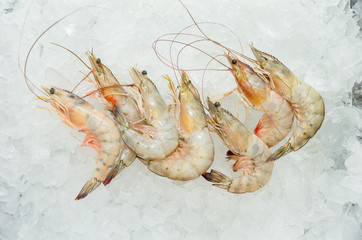 Fresh Shrimp in the ice from Ecuador