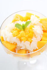 closeup dessert Mango sticky rice