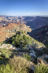 Vertical view of Grand Canyon