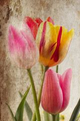 Fototapeta premium Bouquet ot tulips in vintage style