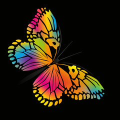 Papillon_Couleurs