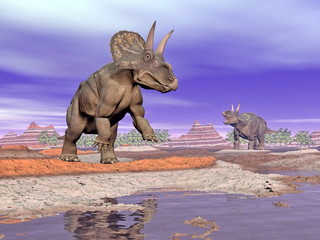Fototapeta premium Diceratops dinosaurs in nature - 3D render