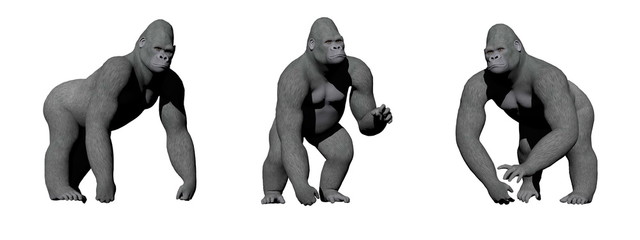 Gorillas hand on the ground - 3D render
