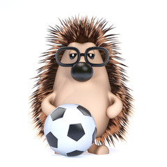 Cute hedgehog plays soccer