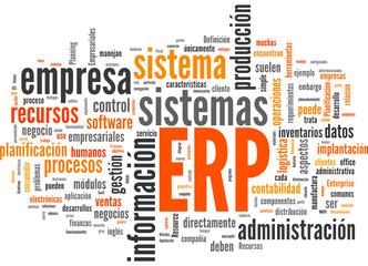 ERP (Enterprise Resource Planning; tag cloud español)