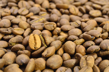 dark and golden coffee beans