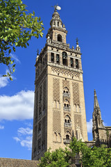 Fototapeta na wymiar Giralda, dzwonnica katedry w Sewilli