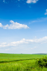 green field background